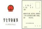学士学位